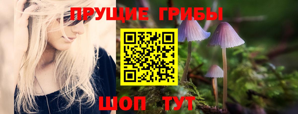 Галлюциногенные грибы GOLDEN TEACHER Среднеуральск
